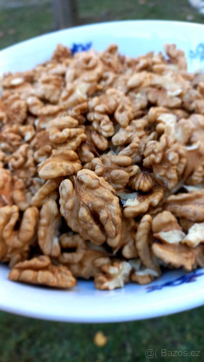 Vylouskané vlašské ořechy - prodám - 2