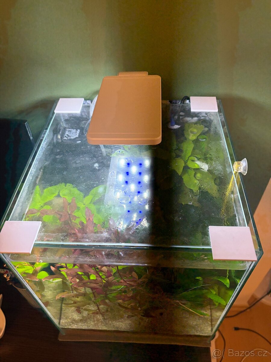 Akvarijni set 30 litru - 2