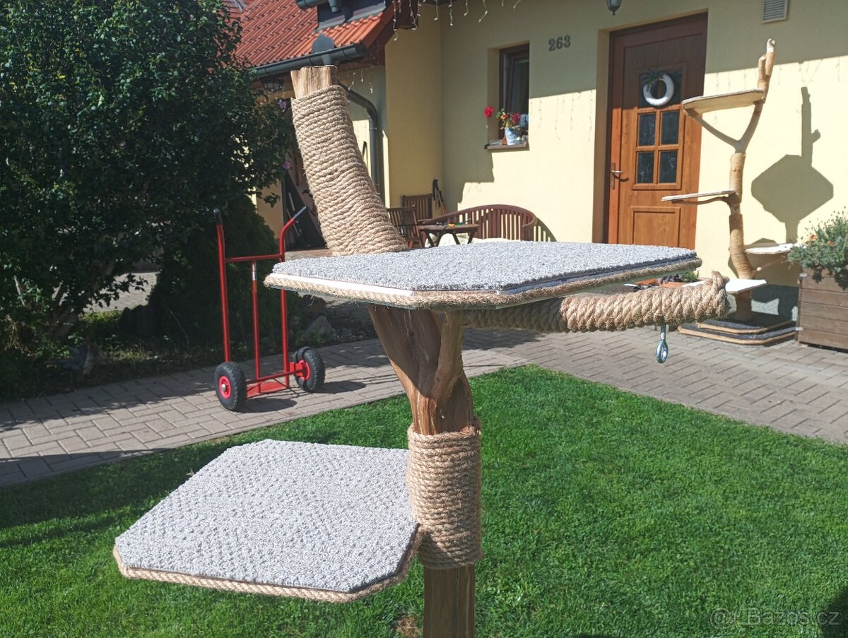 Kočičí skrabadlo - 2