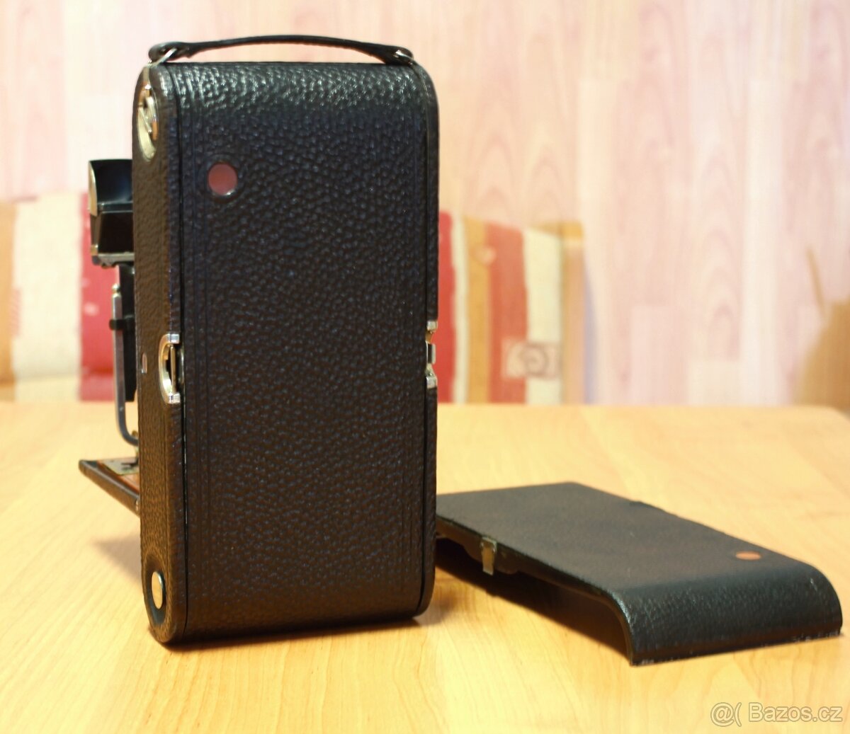 Kodak Antique Bellows - 2