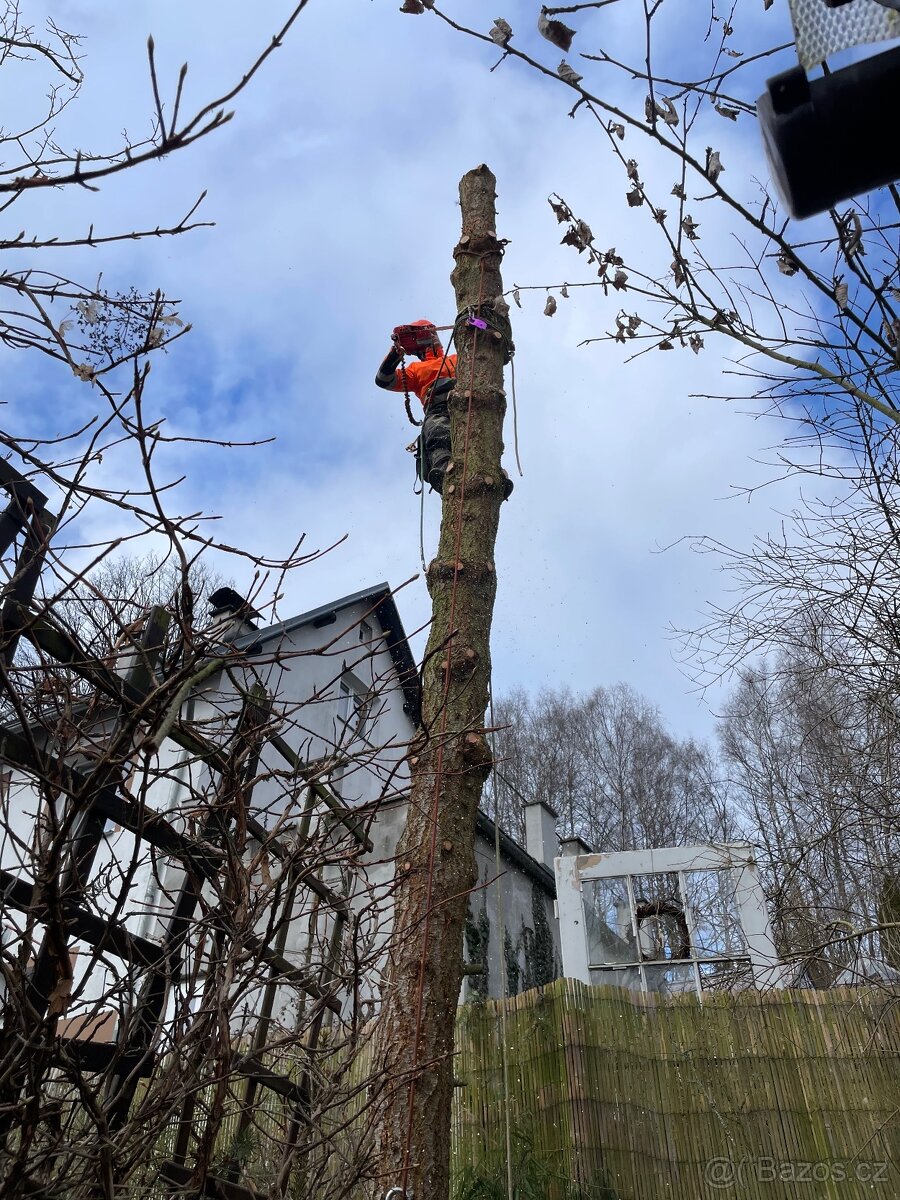 Rizikové kácení, výškové práce - 2