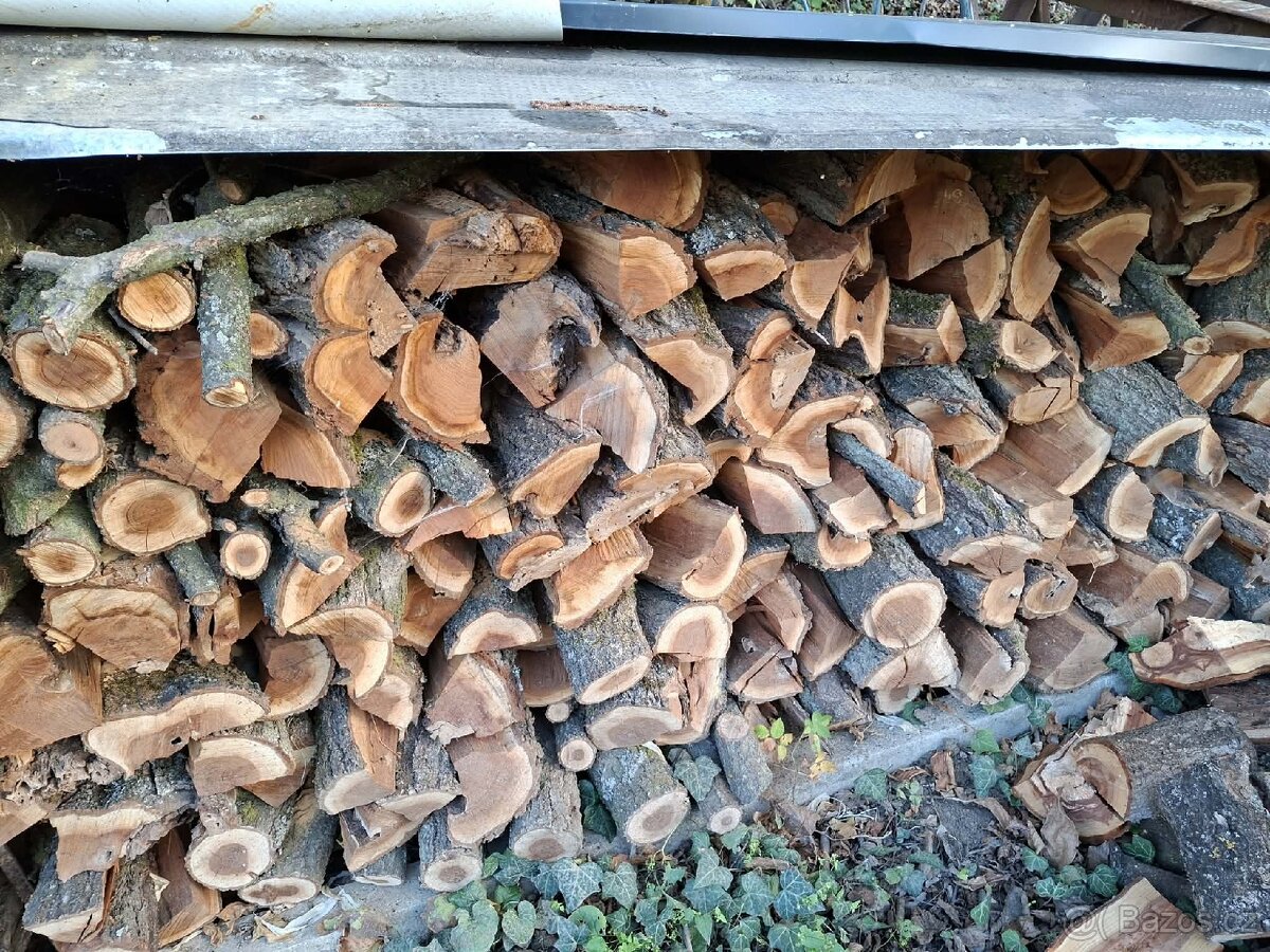Dřevo na uzení, švestka, meruňka. - 2