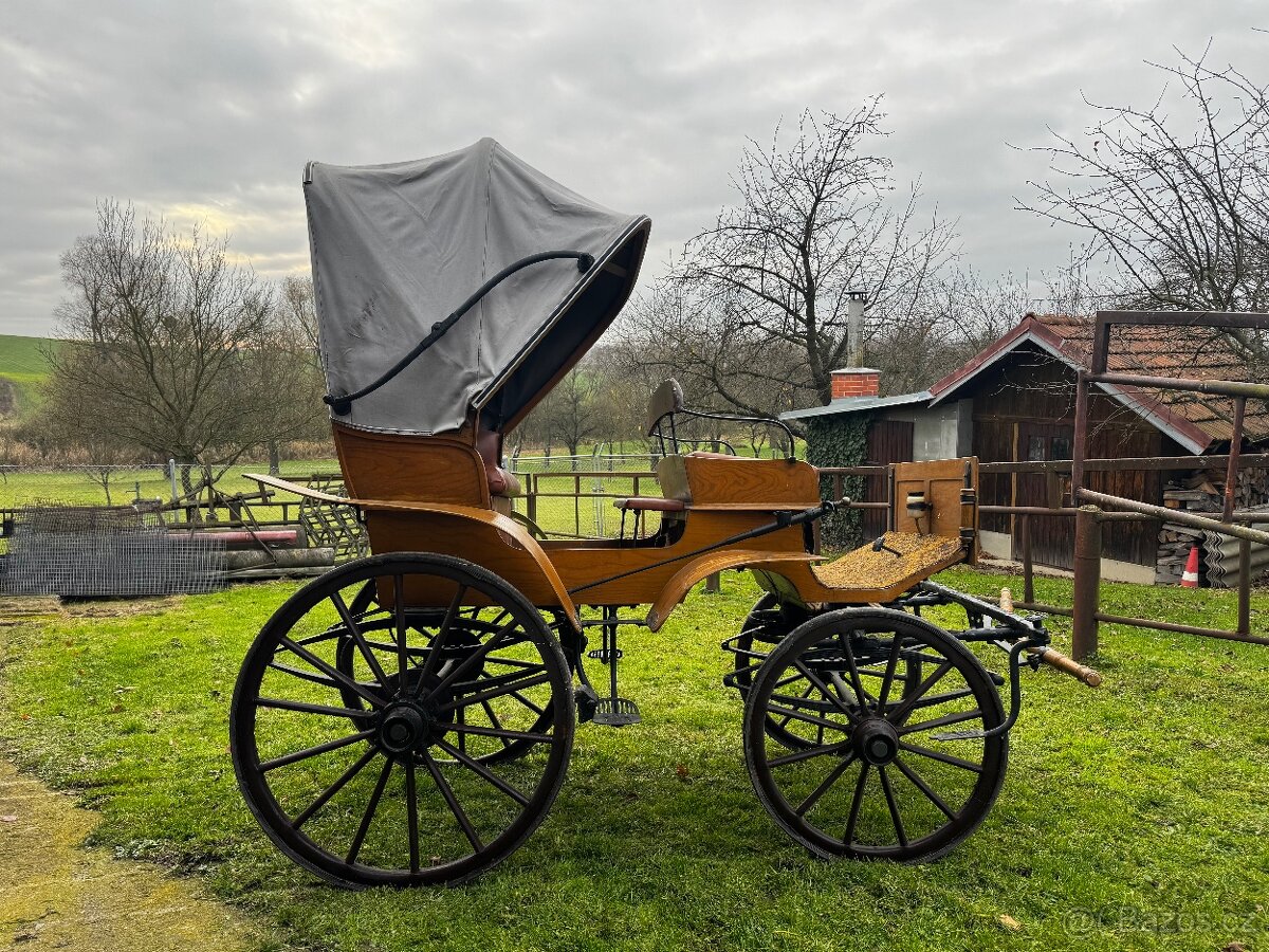 Kočár za koně - 2