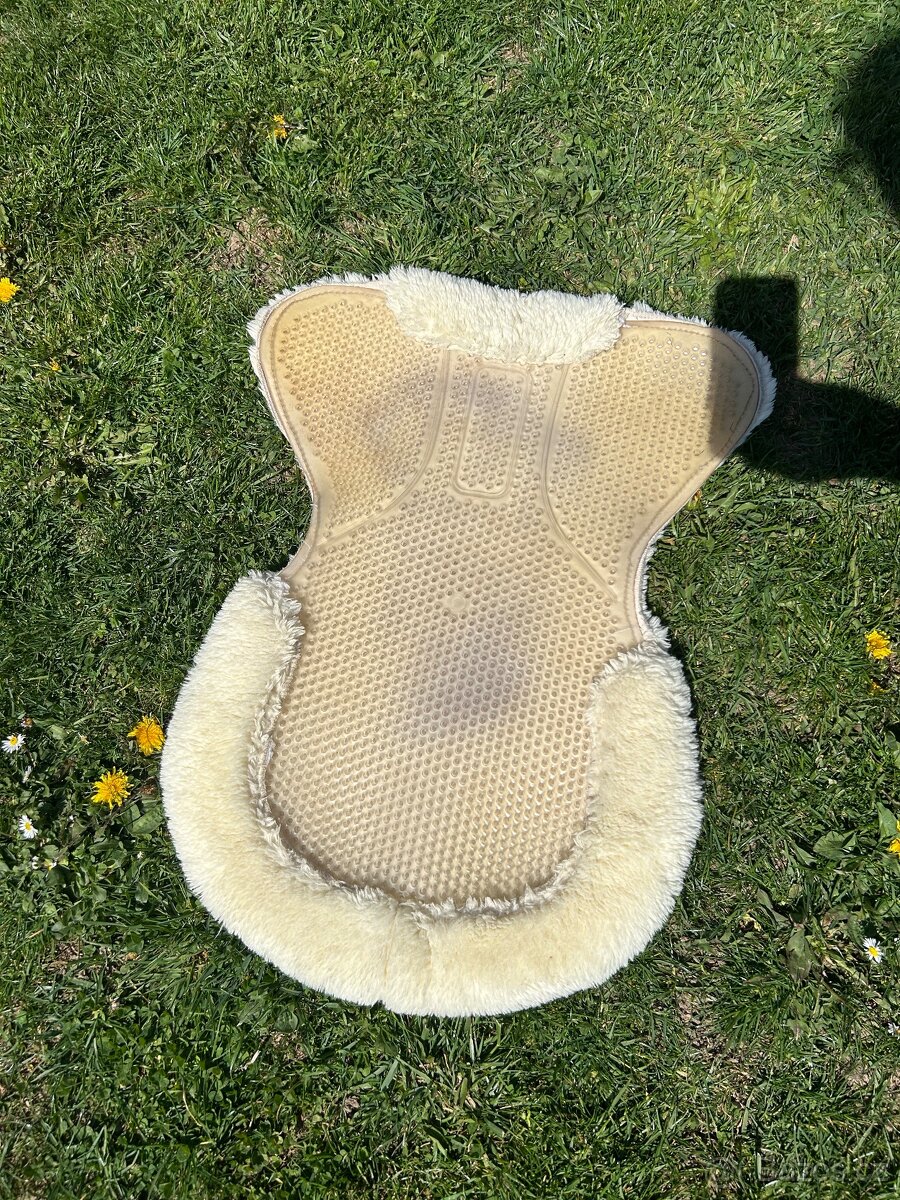 Gelovka s beránkem - 2