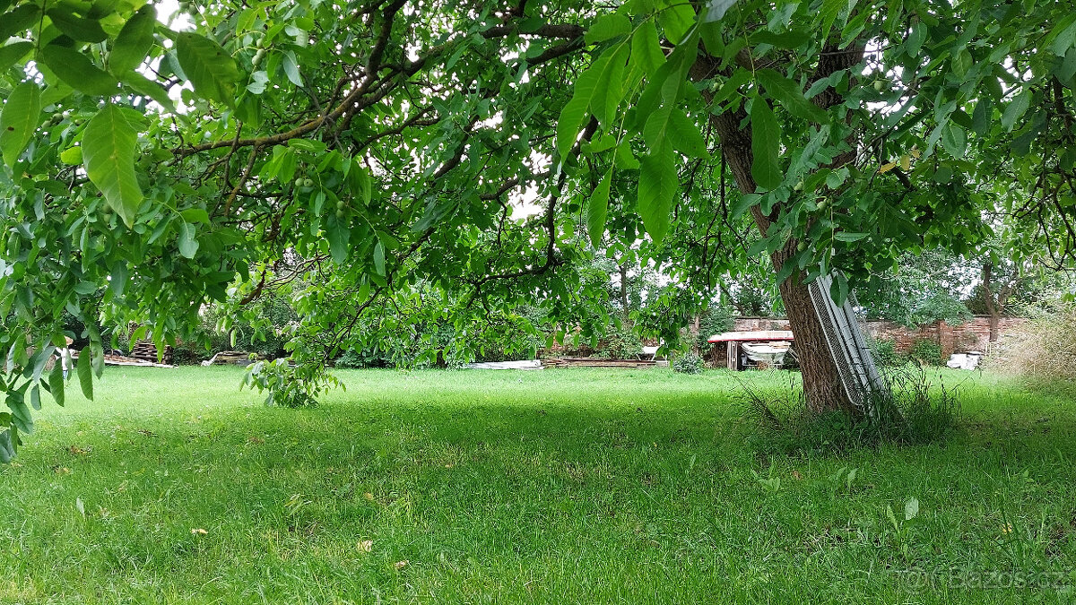 Hrubý Jeseník 8km od Nymburka byt 2+1, zahrada - 2