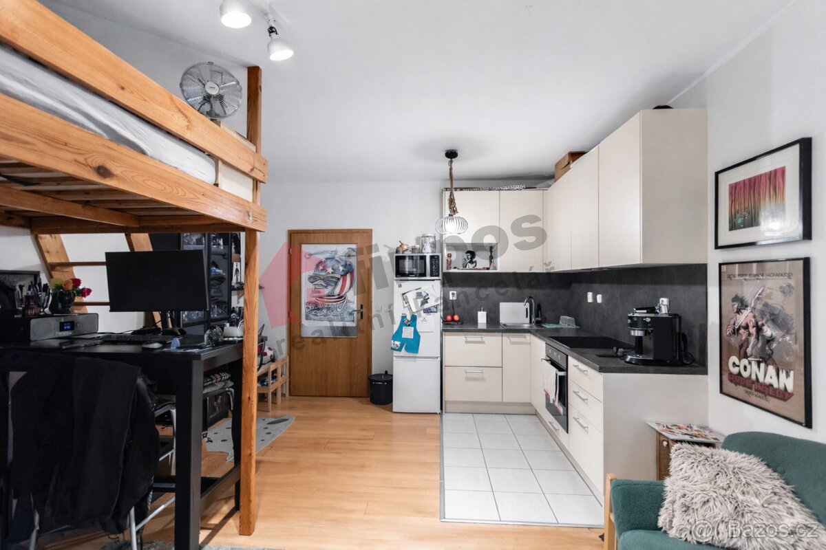 Pronájem bytu 1+kk s terasou a předzahrádkou, Jana Přibíka, - 2