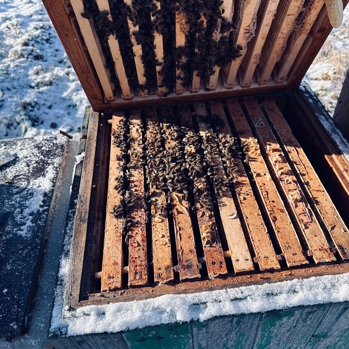 Vyzimovaný oddělek - 2