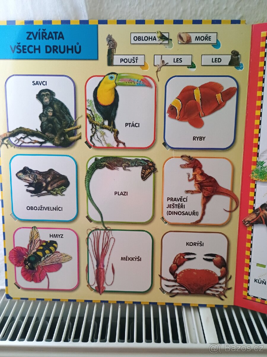 Knížka Zvířata,100 otevíracích okének - 2