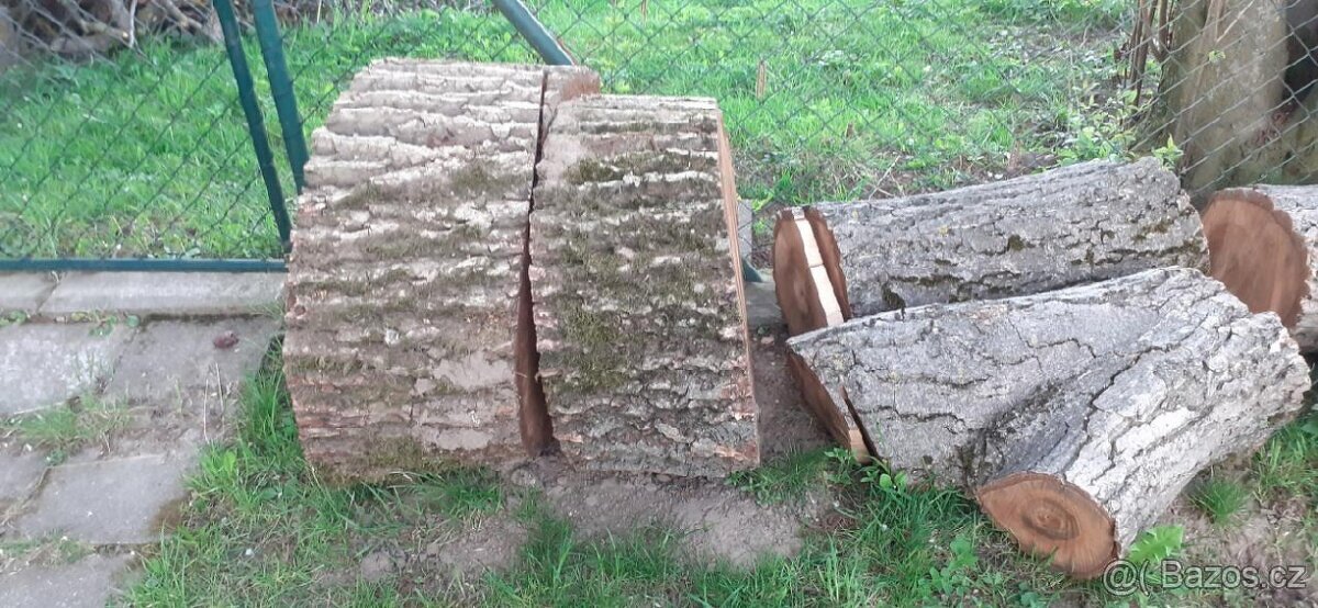 DŘEVO - OŘECH - 2