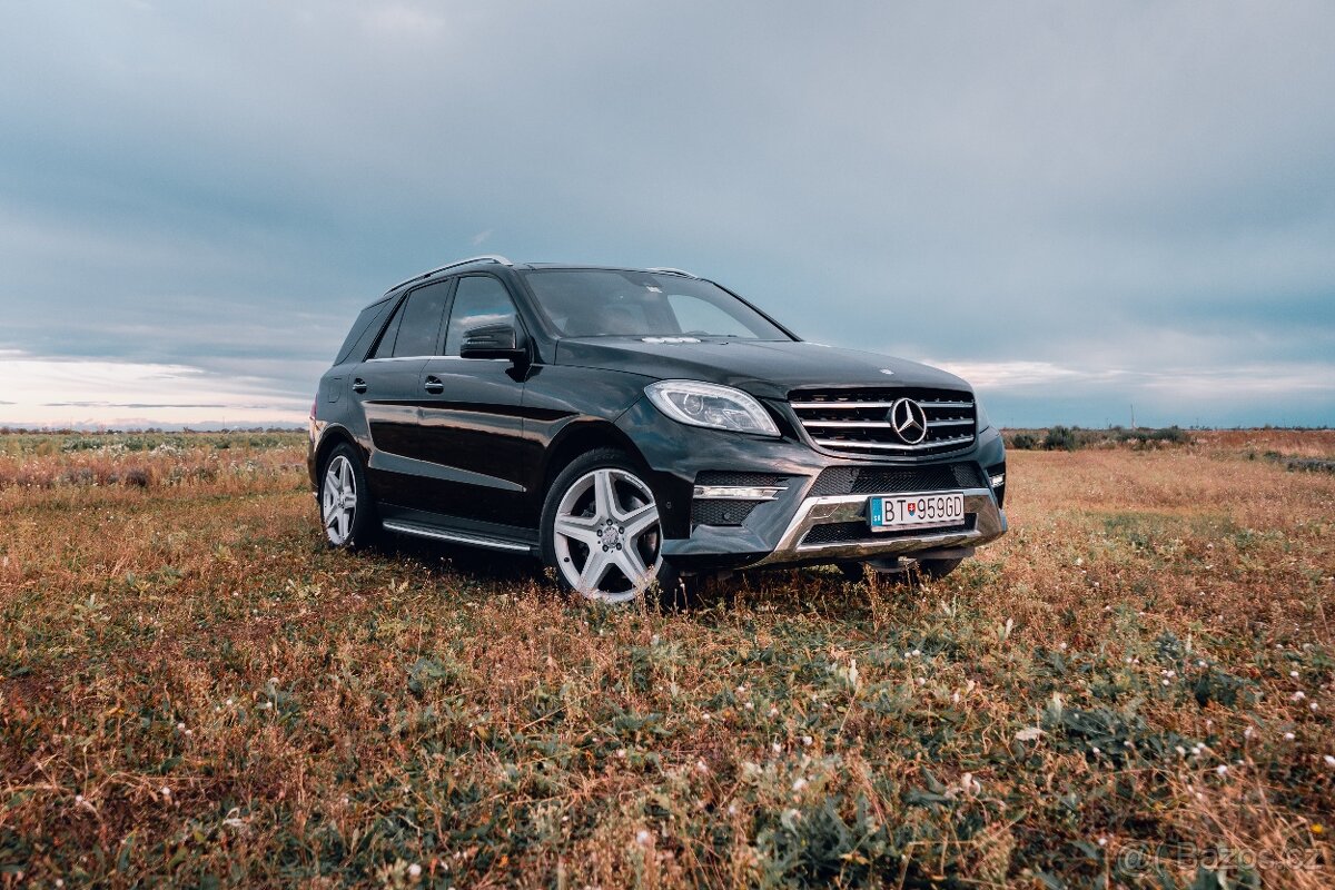 Mercedes ML W166 350 CDI Bluetec - 2