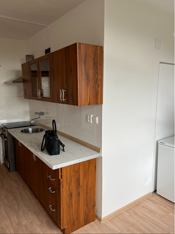 Pronájem bytu v OV 1+1 47m2, Chomutov, Písečná - 2