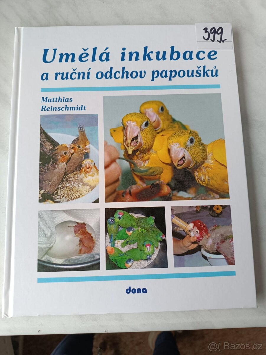 Ptáci dravci papoušci - 2