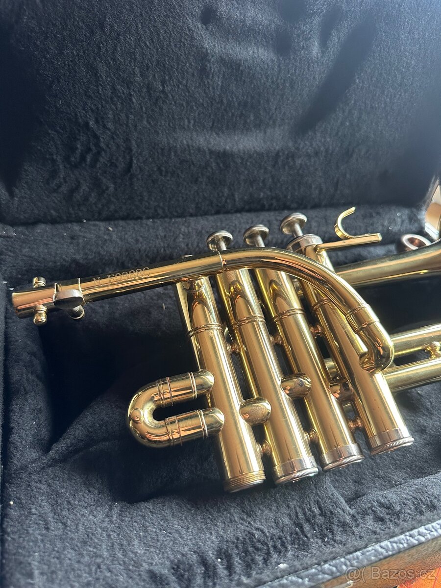 Prodám Trumpetu Stagg - 2