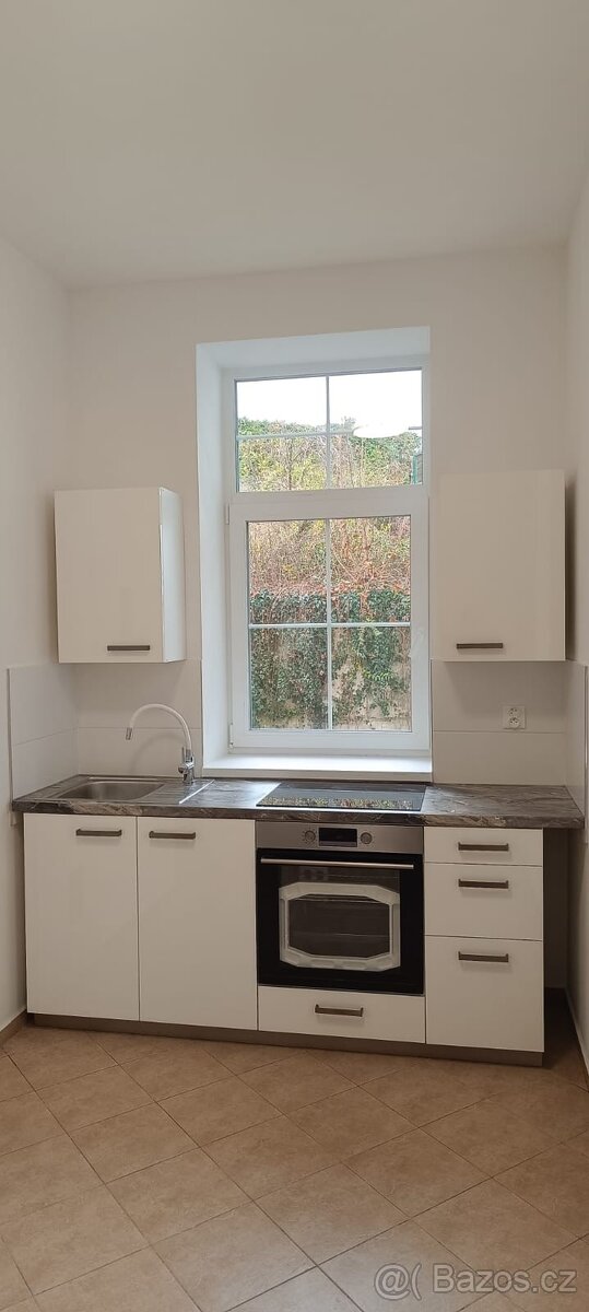 Pronájem 1+1 43 m², krasny, rekonstruovany a usporny byt - 2