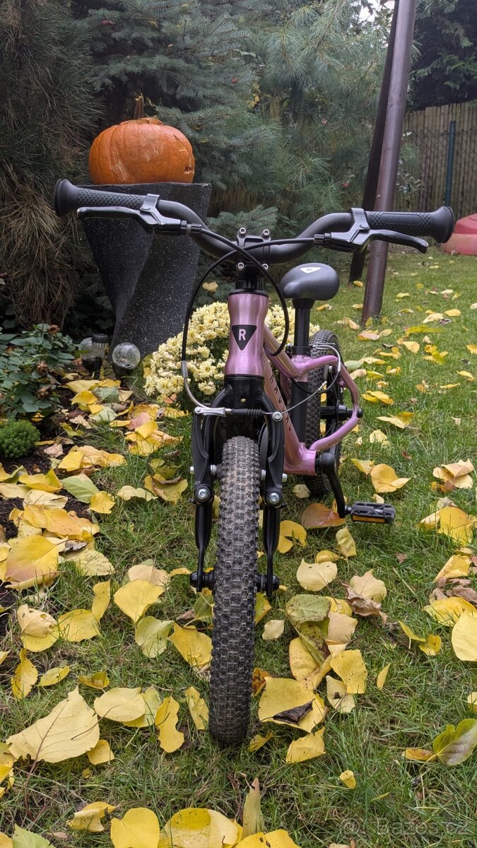 Růžové kolo Rascal - 14 - 2