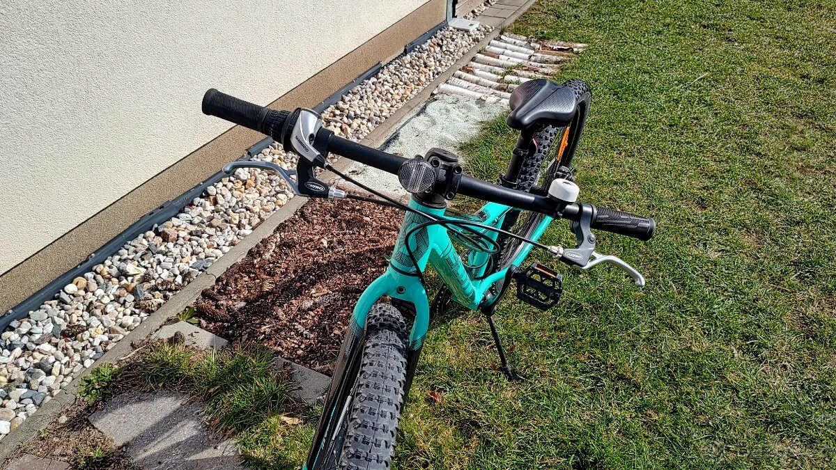 Scott Roxter 24 - 2