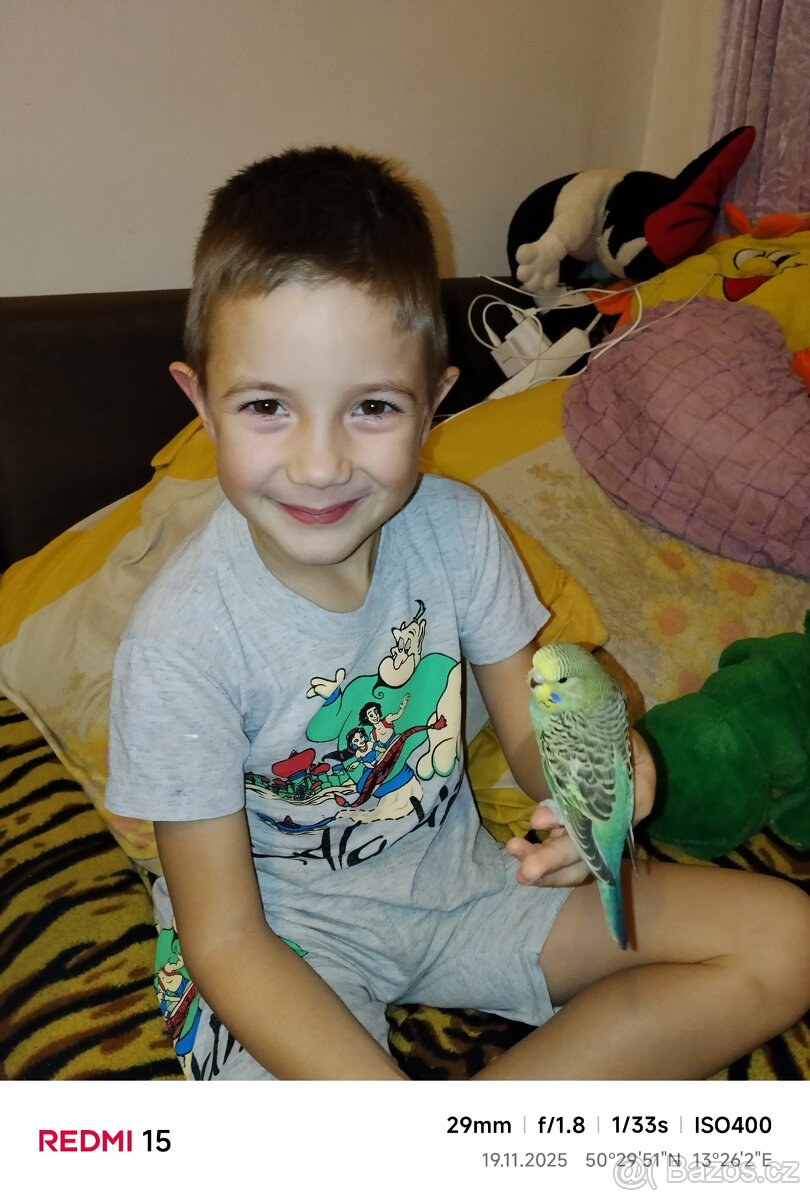 Letošní Andulky - 2