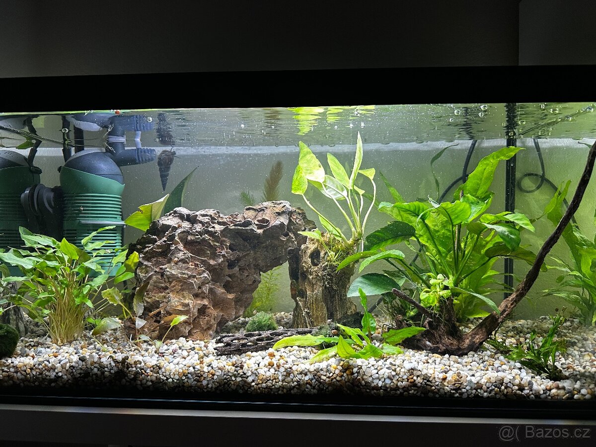 Akvárijní set 54l - 2