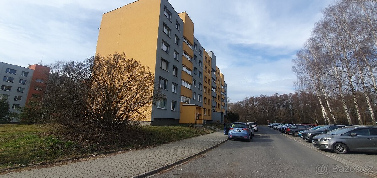 Pronájem bytu 1+1 v Karviné Hranicích - 2