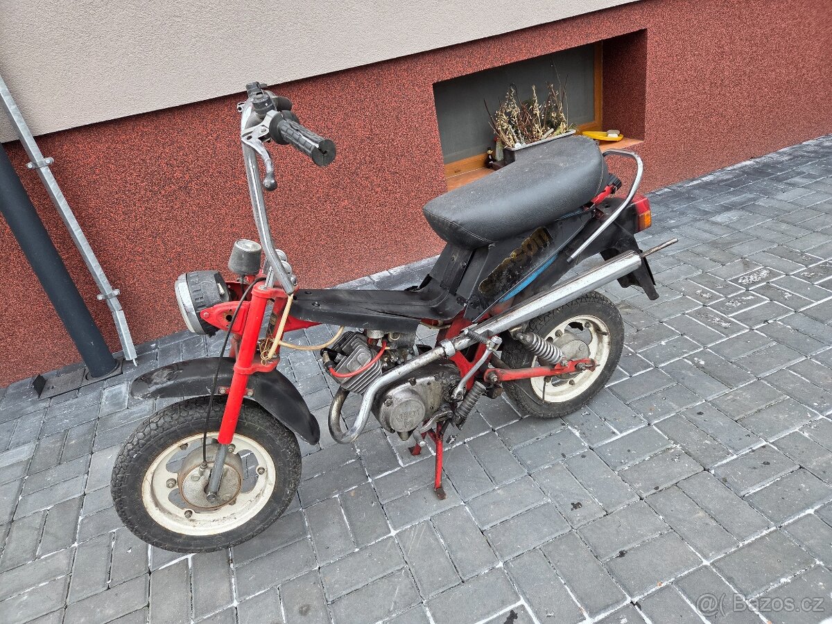 MOKIK Babetta - STELLA riga /1/ - 2