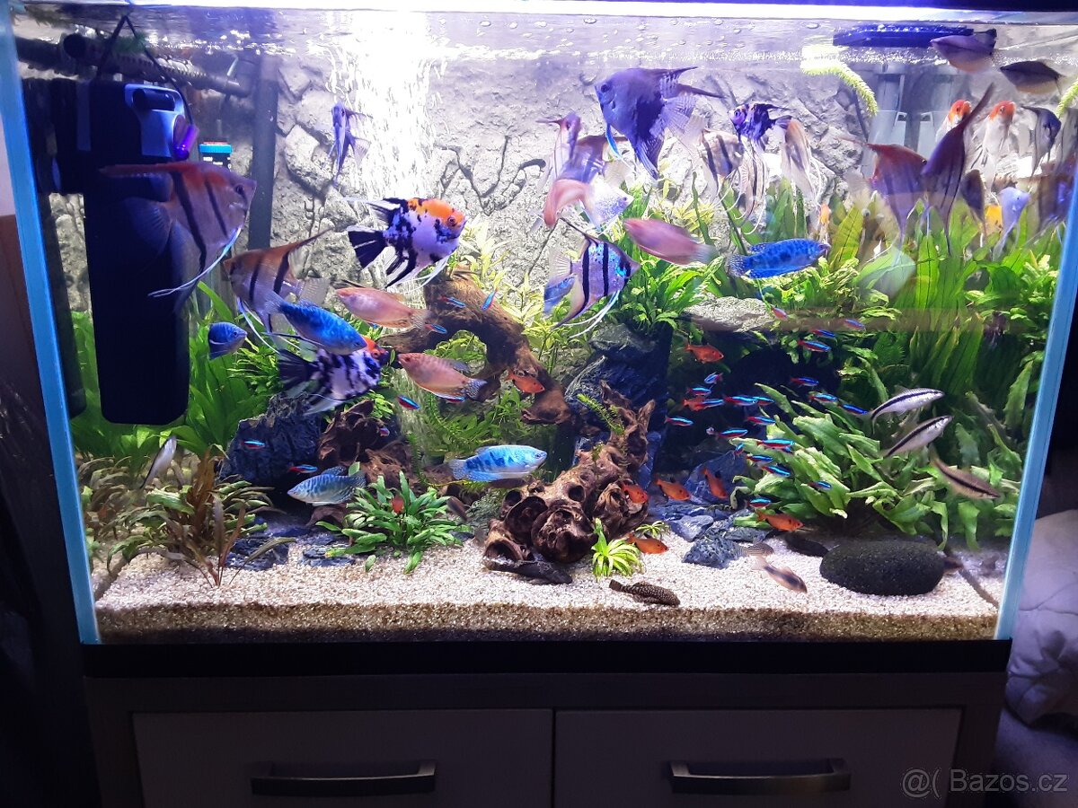 Akvárium sklo optiwhite - 2