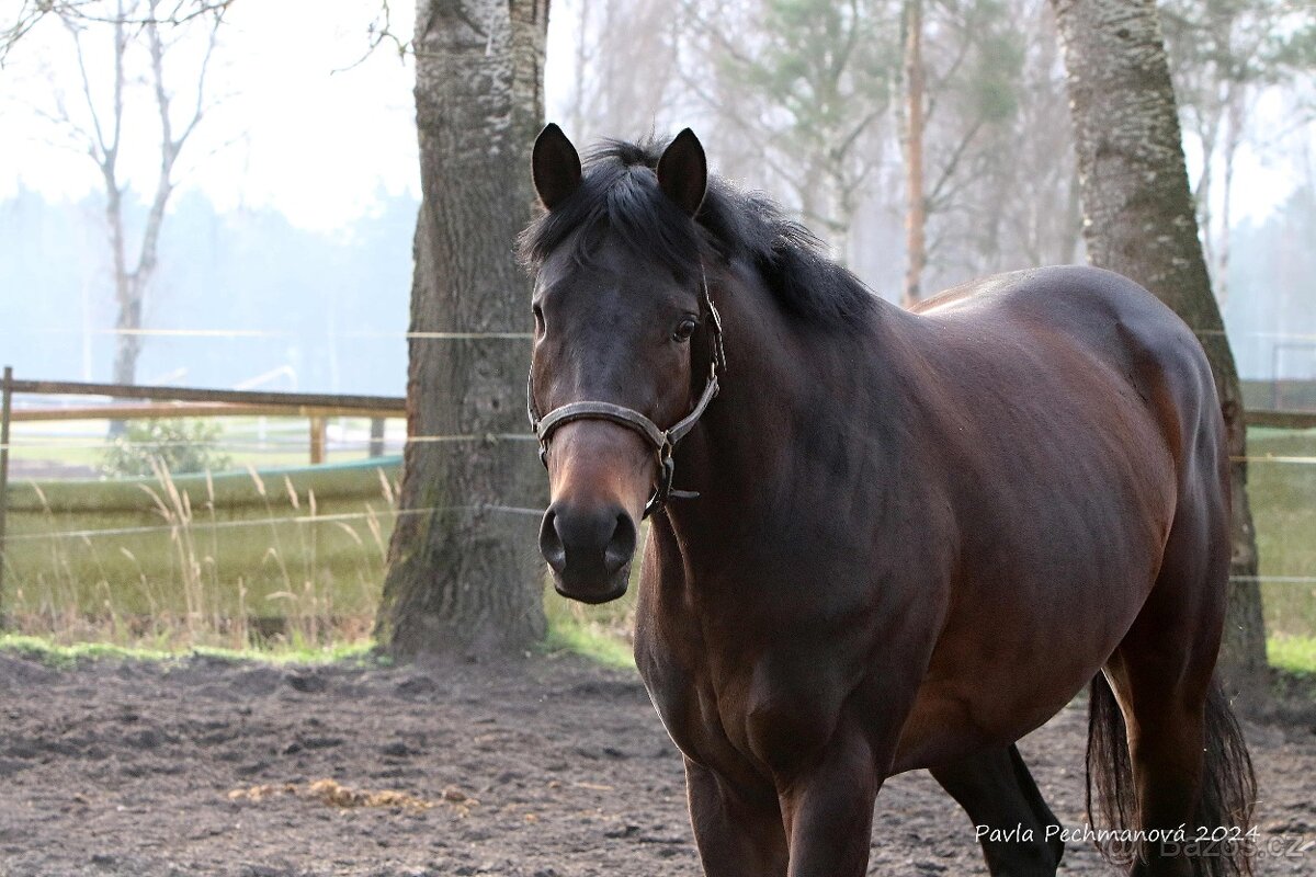 Valášek bez oka - 2