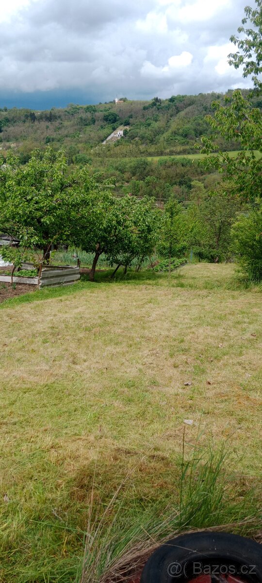 Zahrada v Ivančicích na Rene - 2