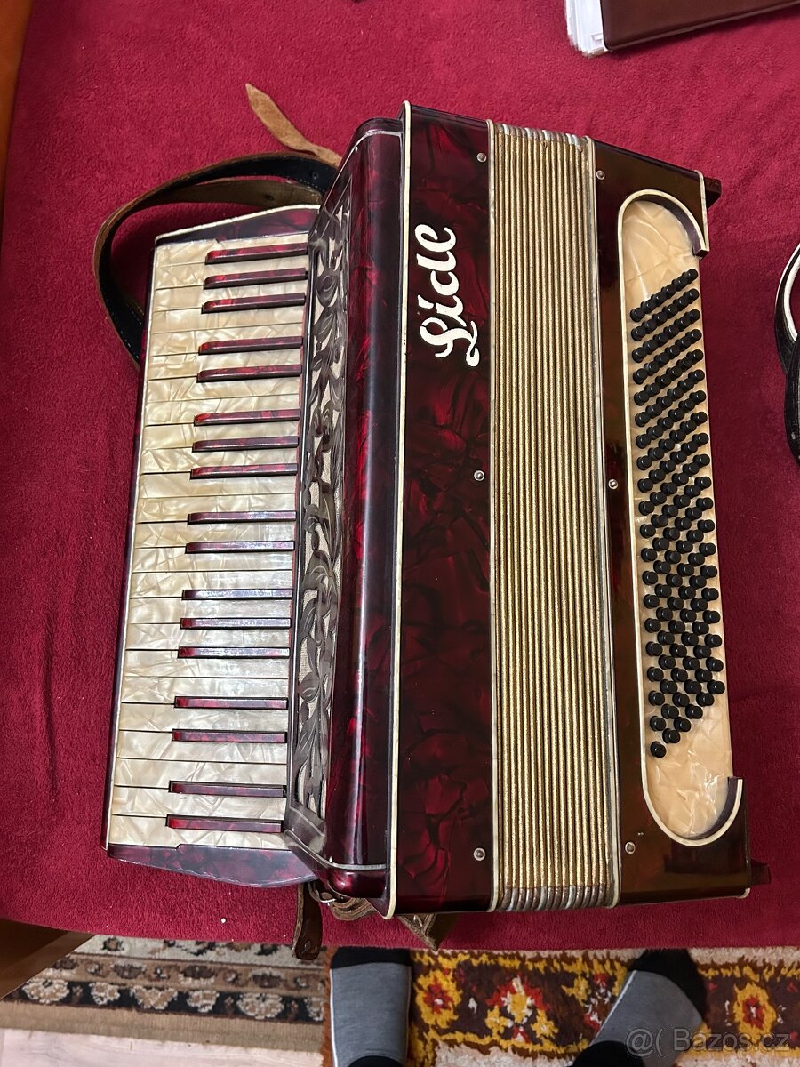 Harmoniky Delicia, Lidl Brno - 2