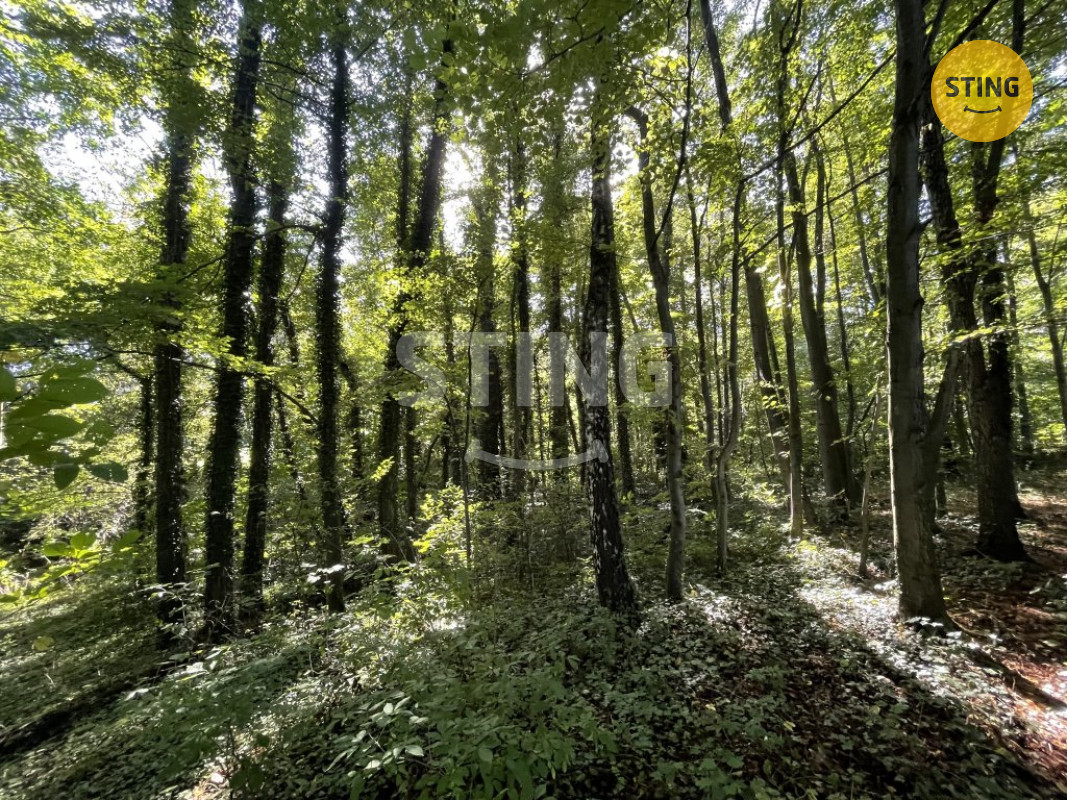 Prodej lesa, 9.789 m2, Hnojník, 133518 - 2