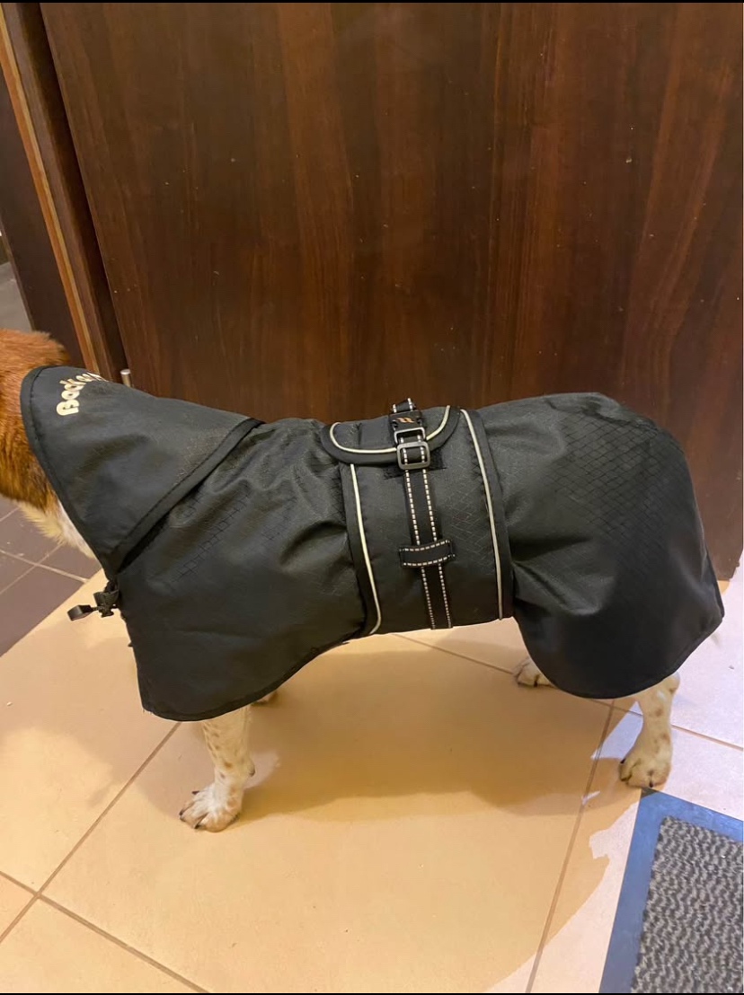 Back on track deka (300g) - 2