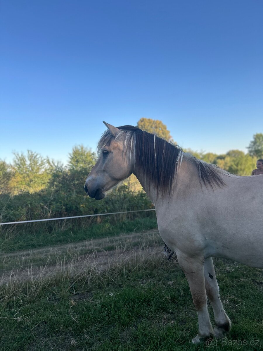 Nabízím Docházku - 2