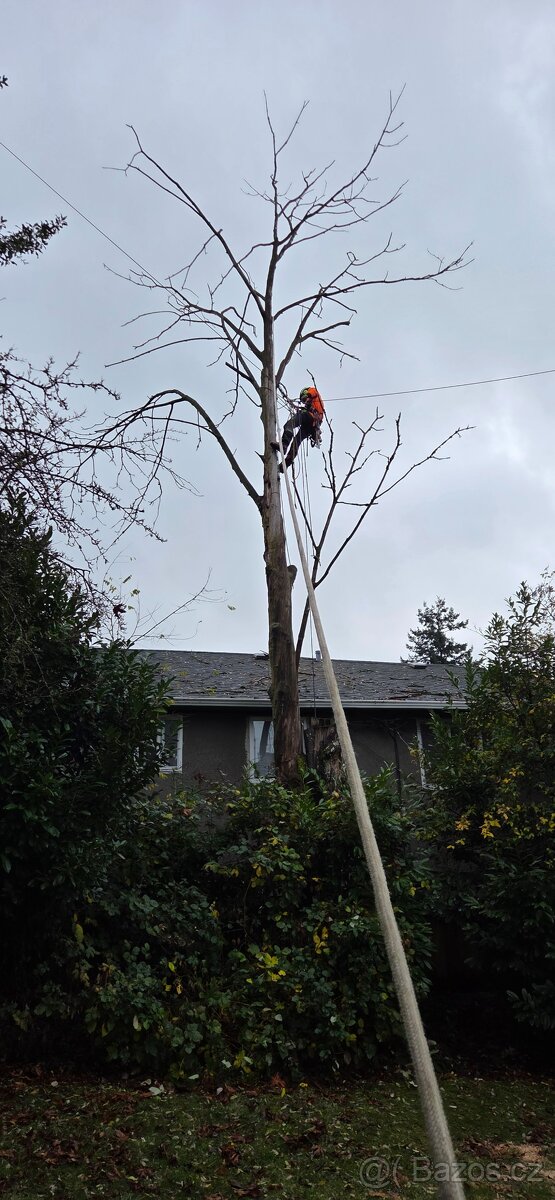 Stromolezec, arborista, udrzby zelene - 2