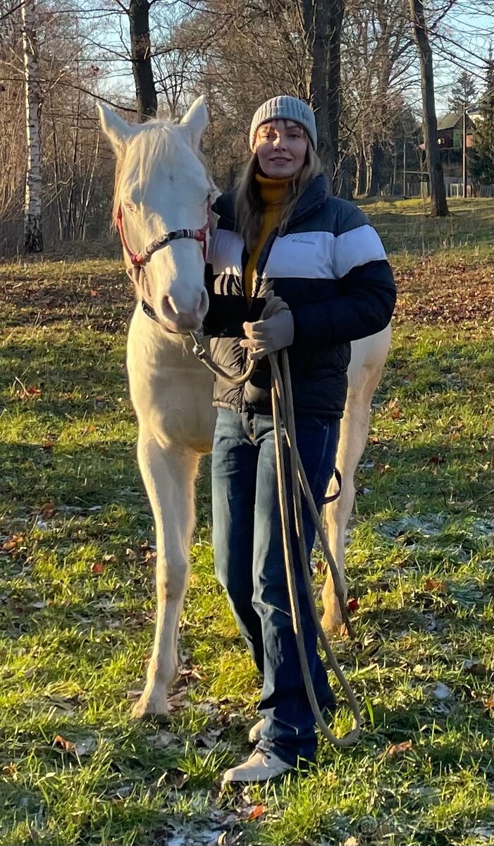 Svezení na koni - 2