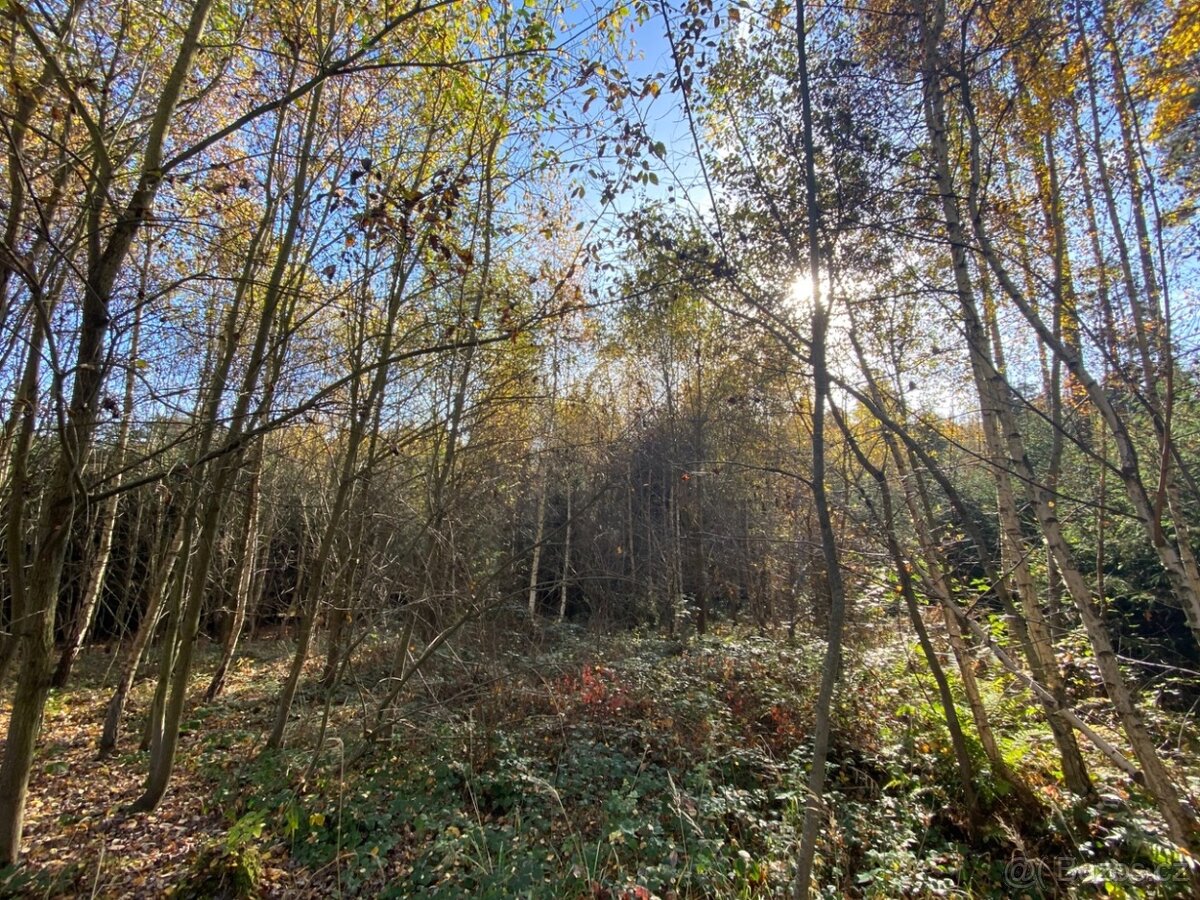 Pozemek 476m2 Klatovy - Dehtín - 2