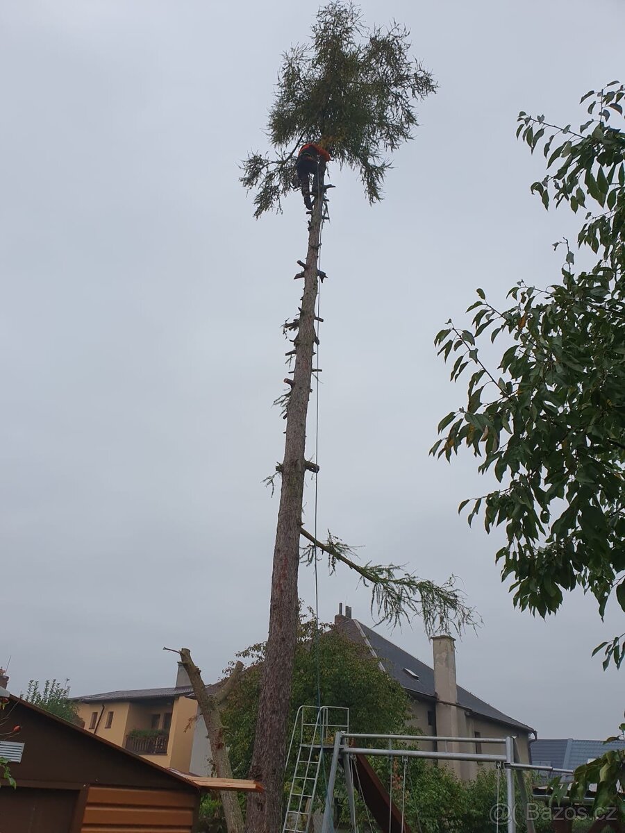 Rizikové kácení-výškové práce - 2