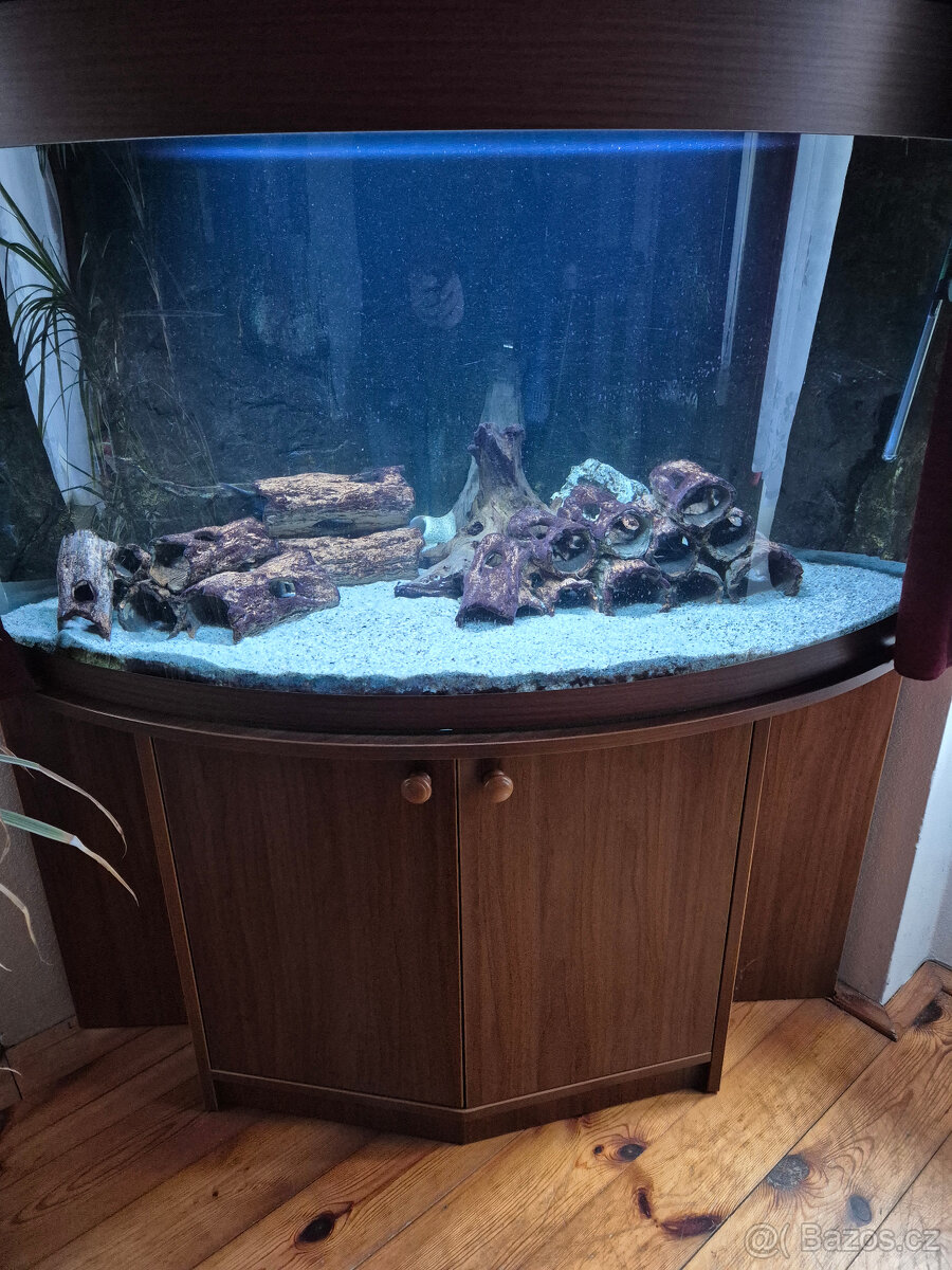 Prodám rohové akvárium 350 litrů - 2