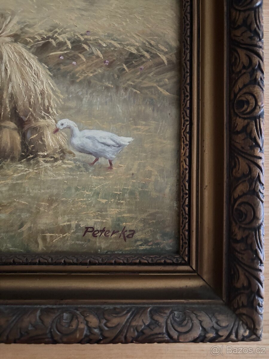 Obraz Žně na Vysočině, Peterka 45x59 - 2