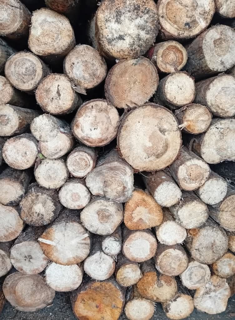 Prodám palivové dřevo SUCHÉ - 2