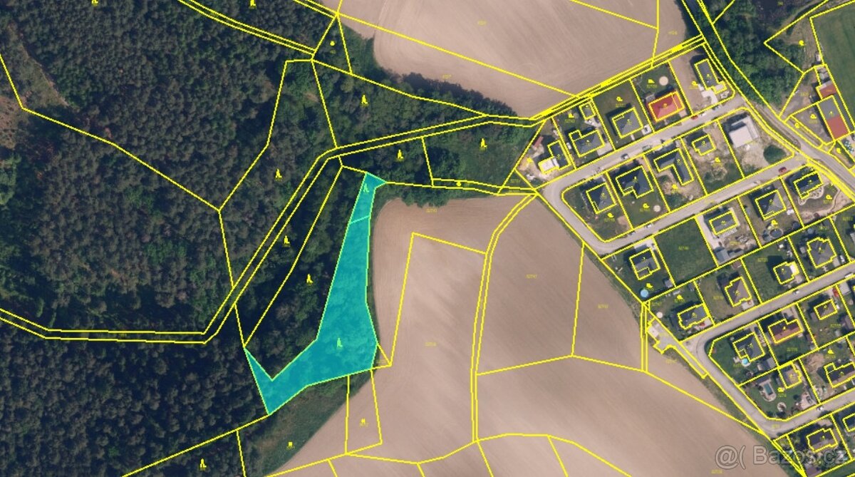 Prodej lesa poblíž Mnichova Hradiště - 2