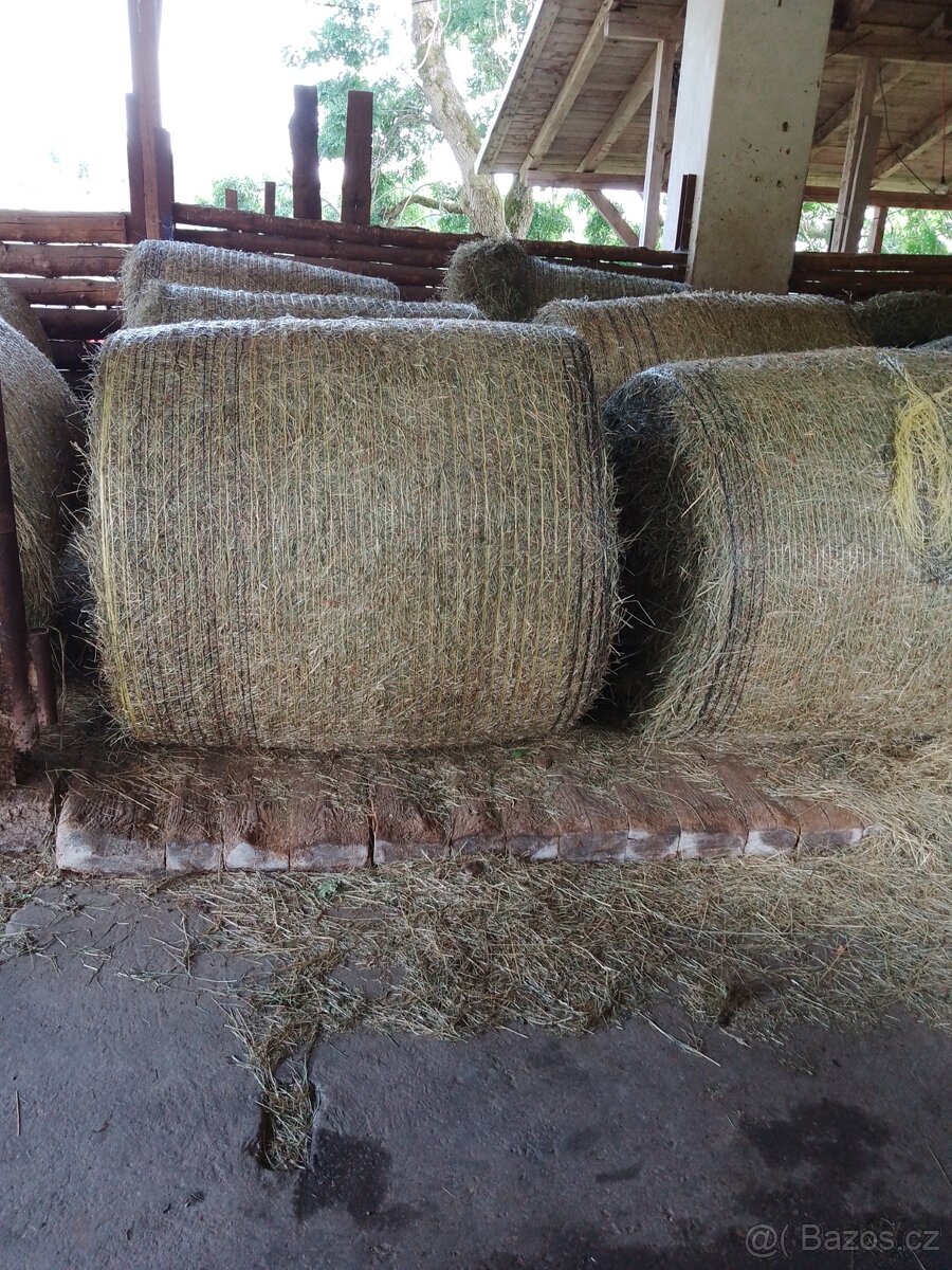 Horské seno - 2