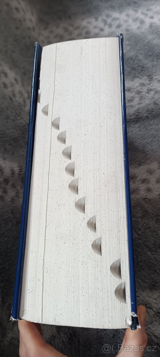 Websterův naučný slovník - 2