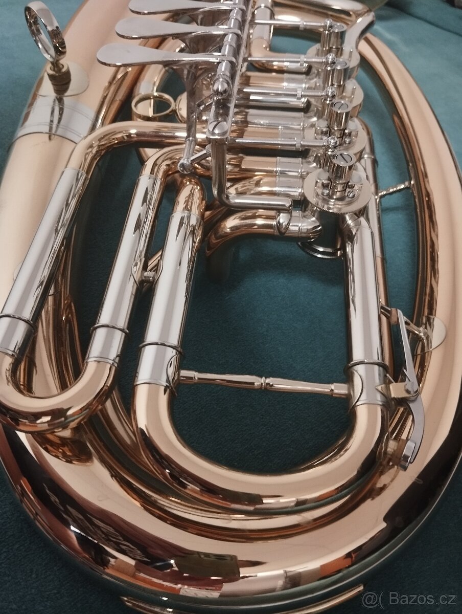 Baskřidlovka - 2