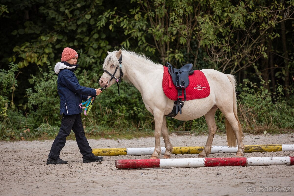 Letošní hřebeček - 2