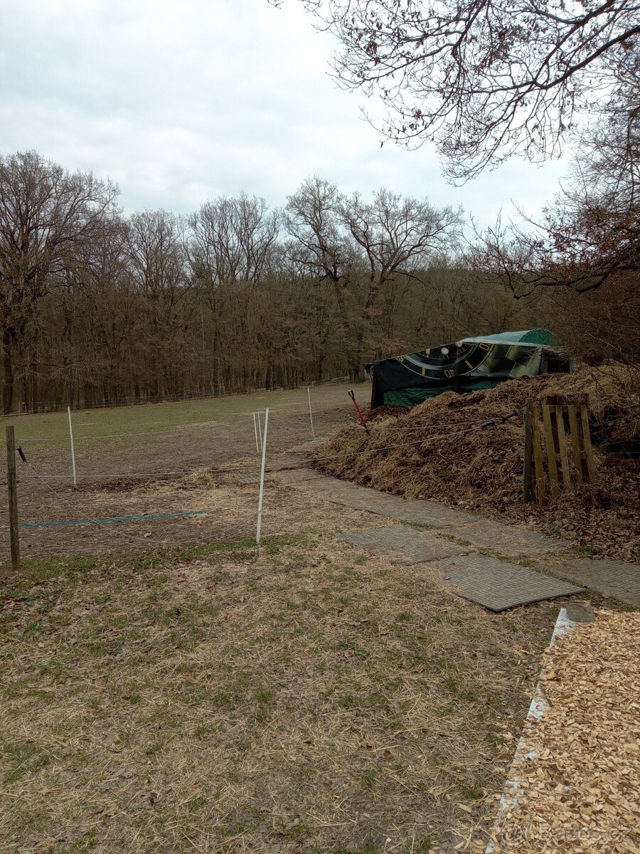 Darují koňský hnůj - 2