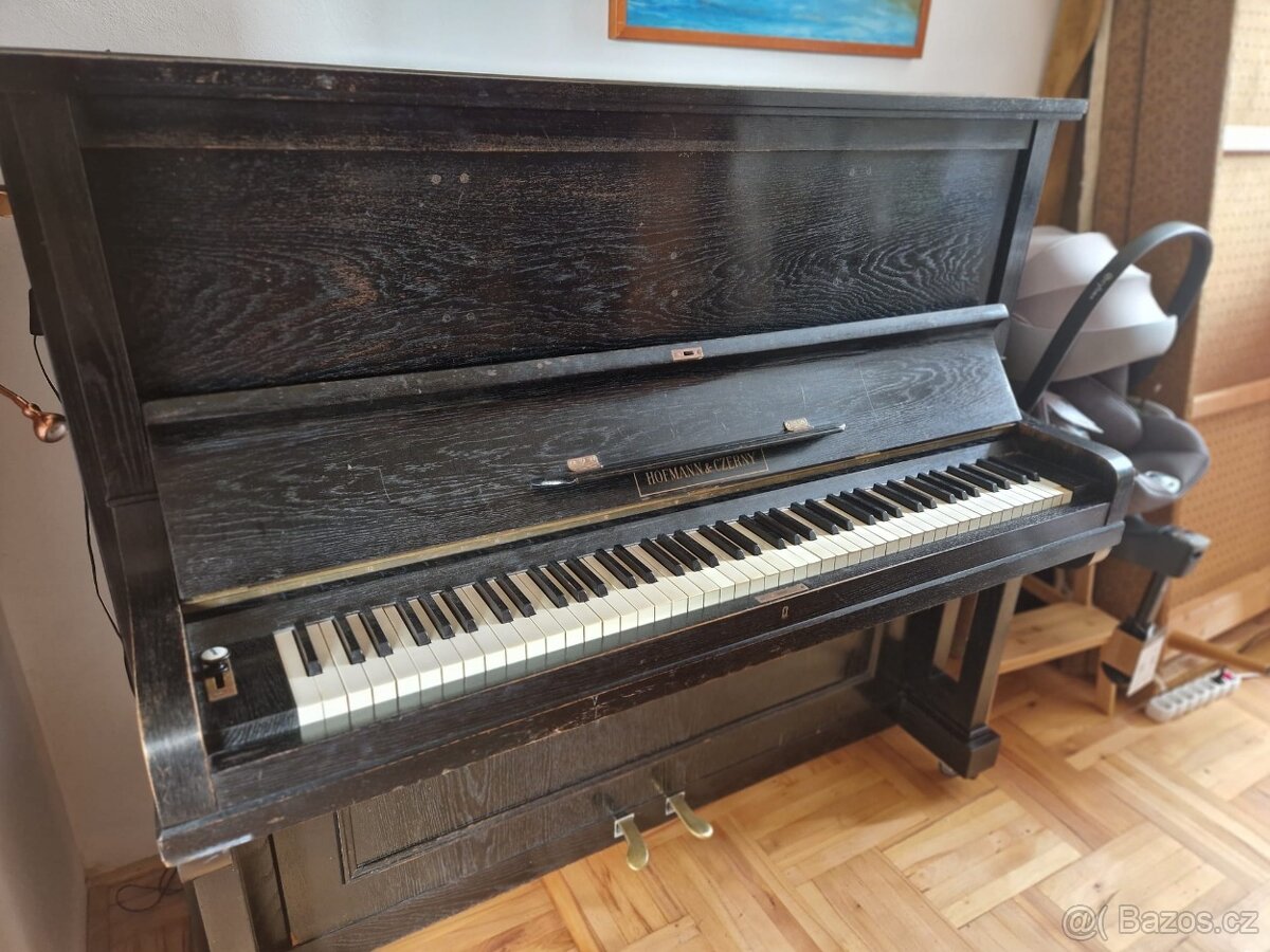 Hoffman & Czerny - 2