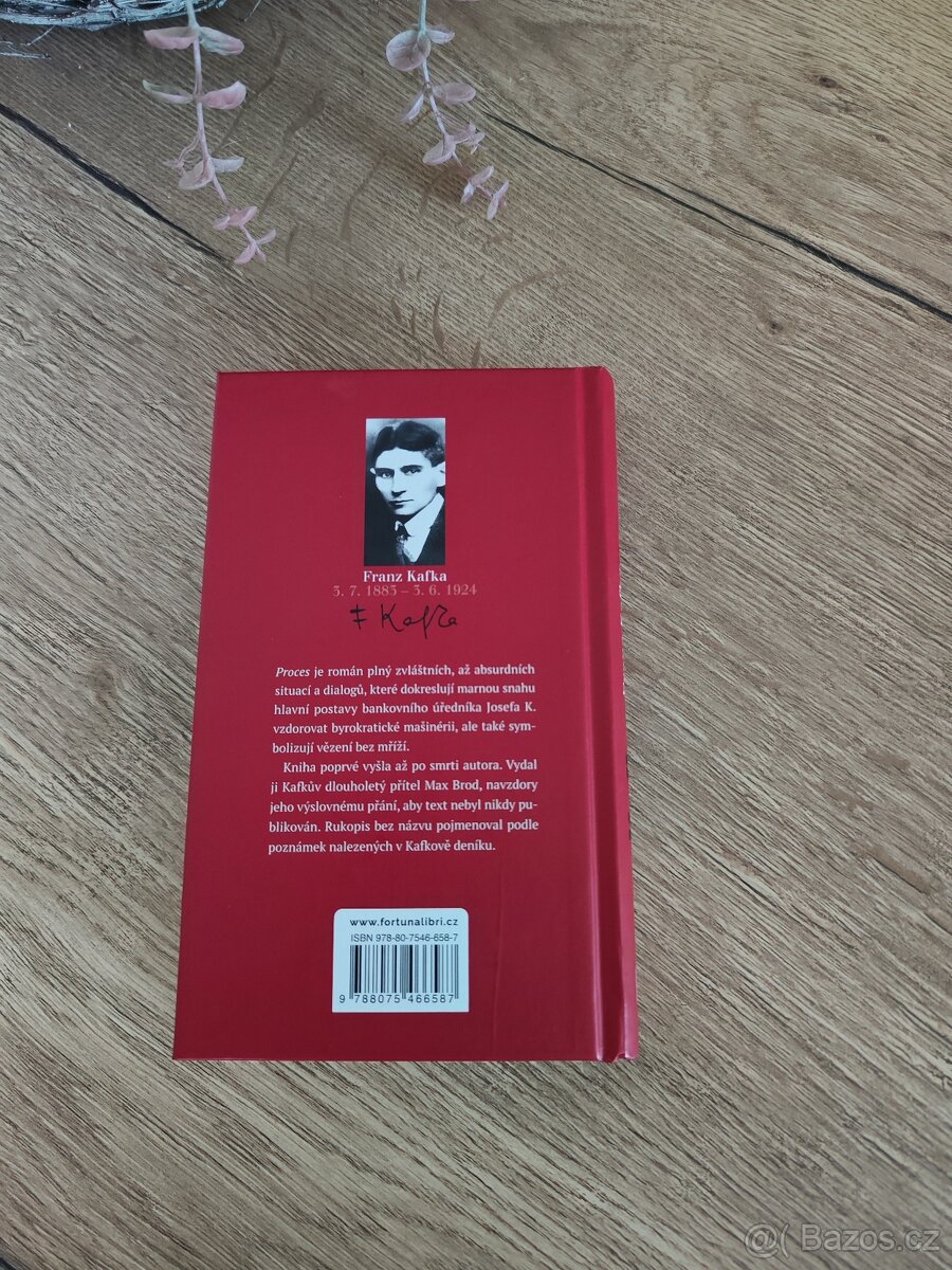 Proces - Franz Kafka - 2
