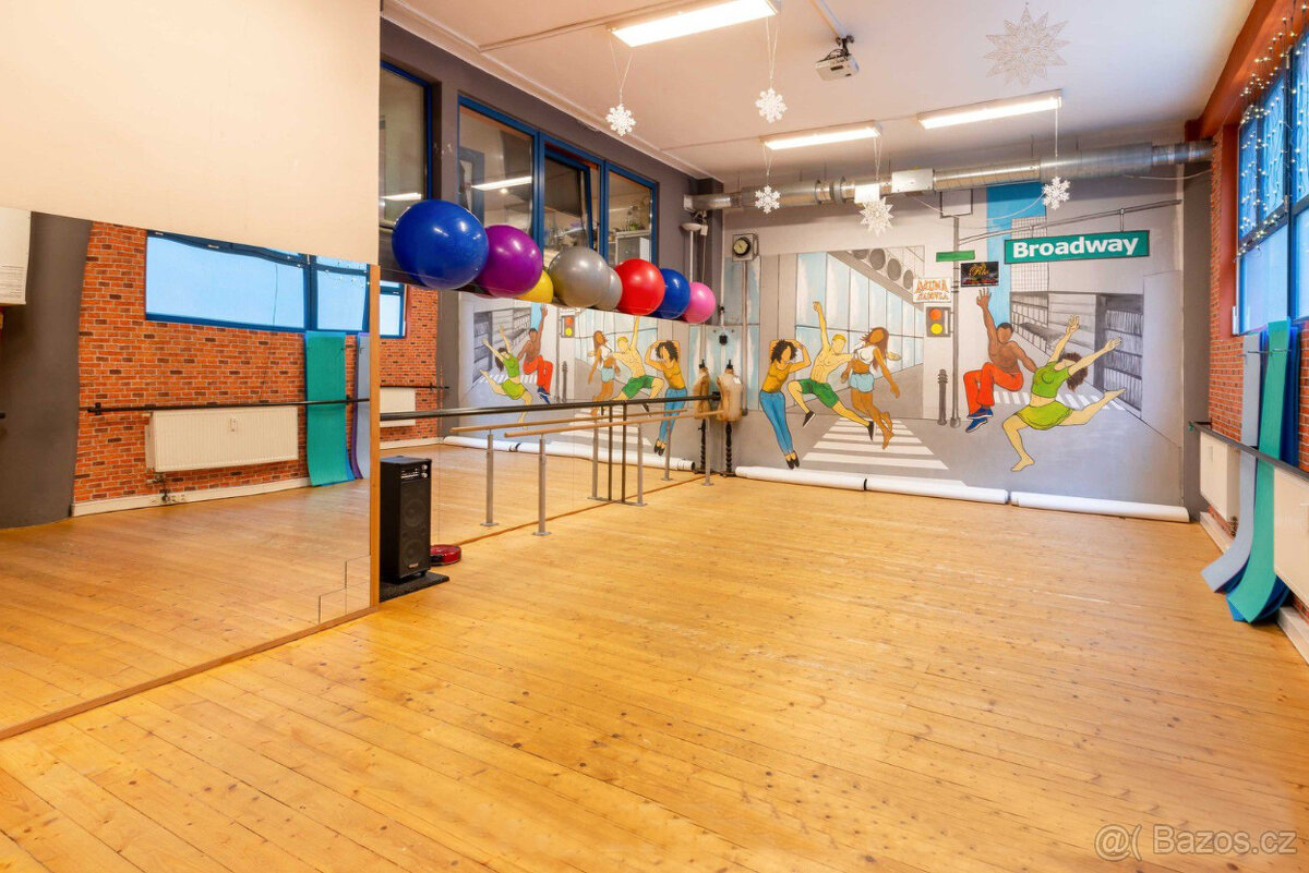 Sál 60 m2 v Praze 6 na Hadovce - 2