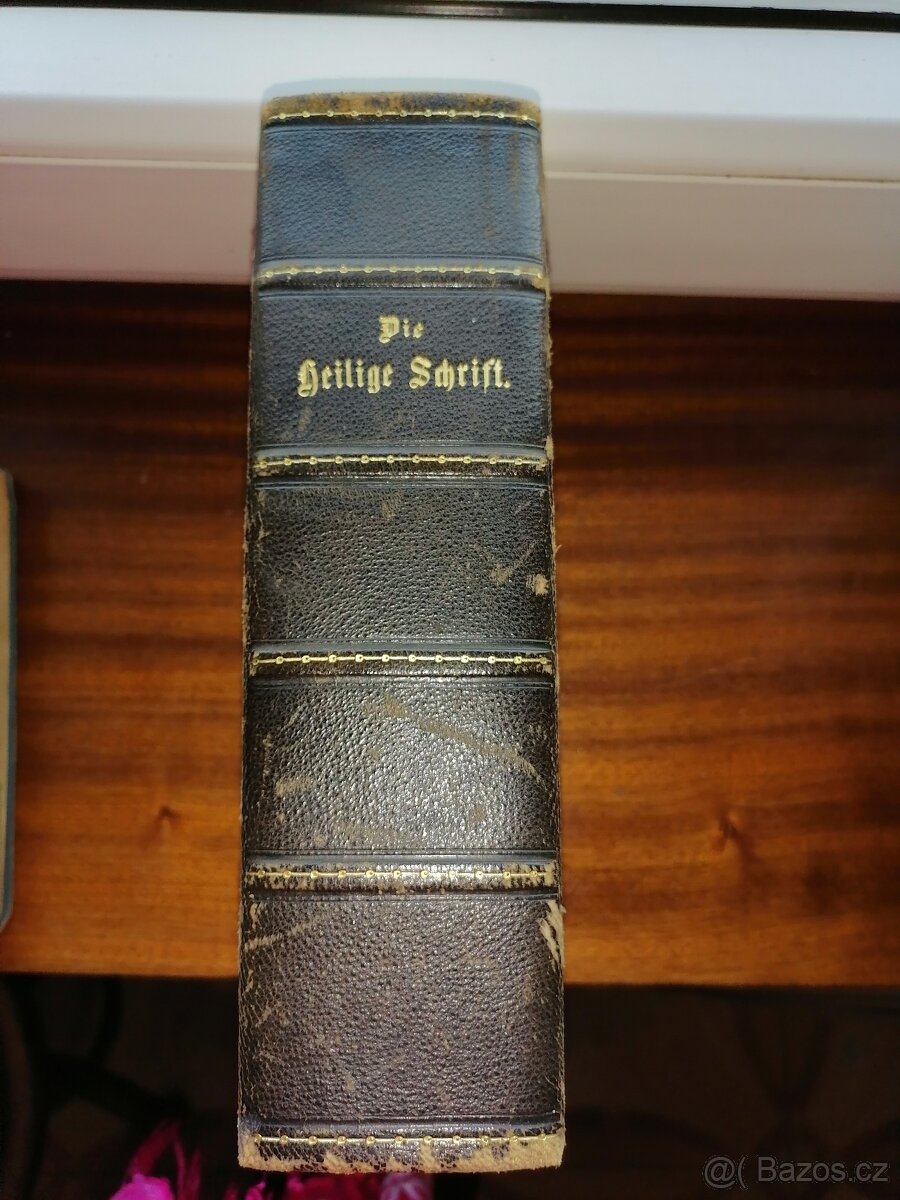 Bible z roku 1956 - 2