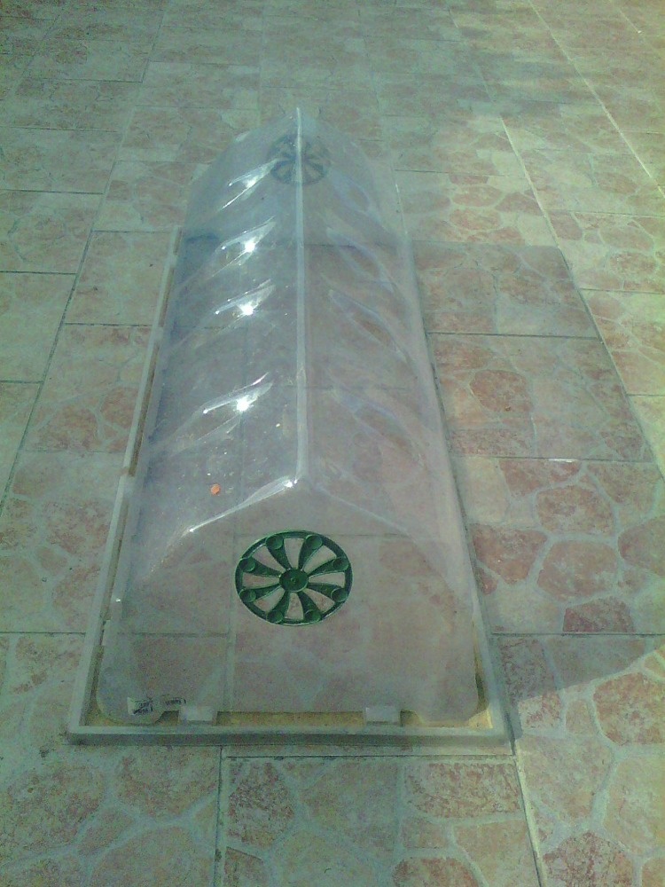 Prodám 5ks malý plastový fólijovník - 2