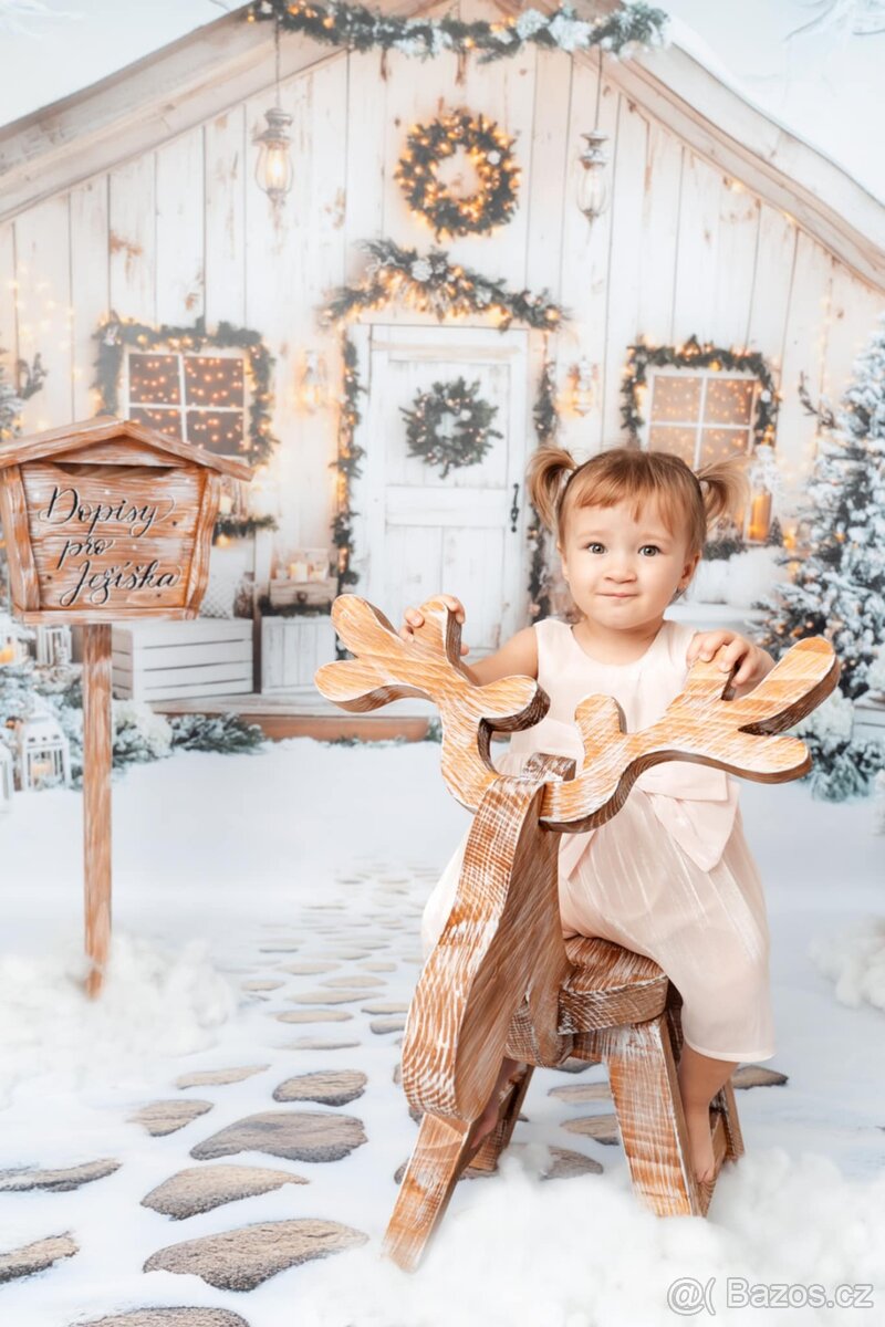 Sobík na vánoční focení - 2